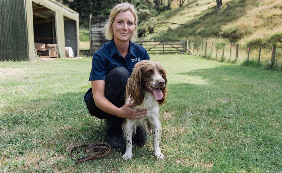 Kerryn Johnson with springer spaniel Pip. Photo credit: Auckland Council