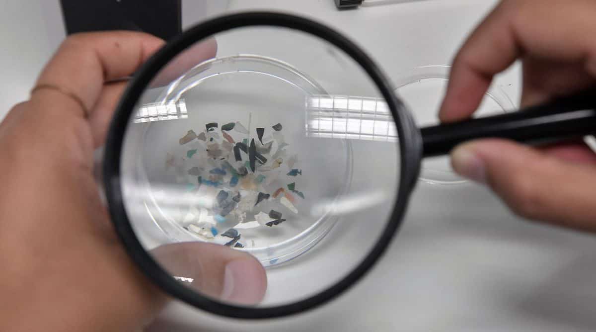 A biologist examines microplastics found in sea species at the Hellenic Centre for Marine Research in Greece, Nov. 26, 2019. Louisa Gouliamaki/AFP via Getty Images