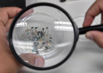 A biologist examines microplastics found in sea species at the Hellenic Centre for Marine Research in Greece, Nov. 26, 2019. Louisa Gouliamaki/AFP via Getty Images