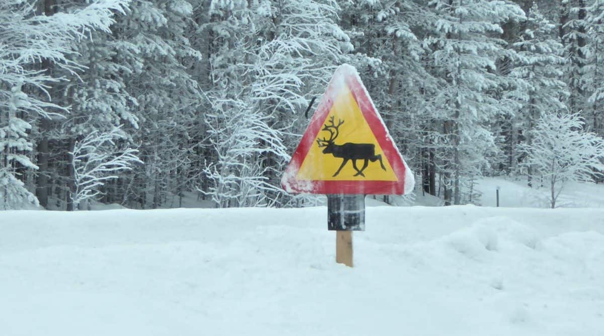 Ilona Kater, Author provided