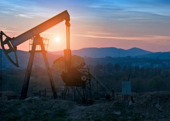 Perutskyi Petro/Shutterstock