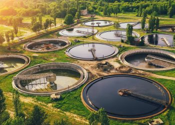 DedMityay / shutterstock