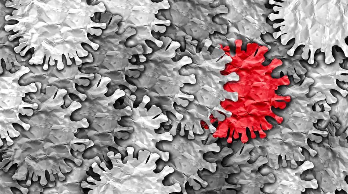 Shutterstock/Lightspring