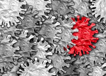 Shutterstock/Lightspring