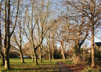 Photo by Sandy Manoa on Unsplash