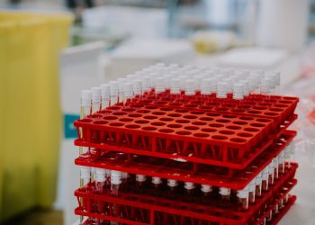 Photo by Mat Napo on Unsplash