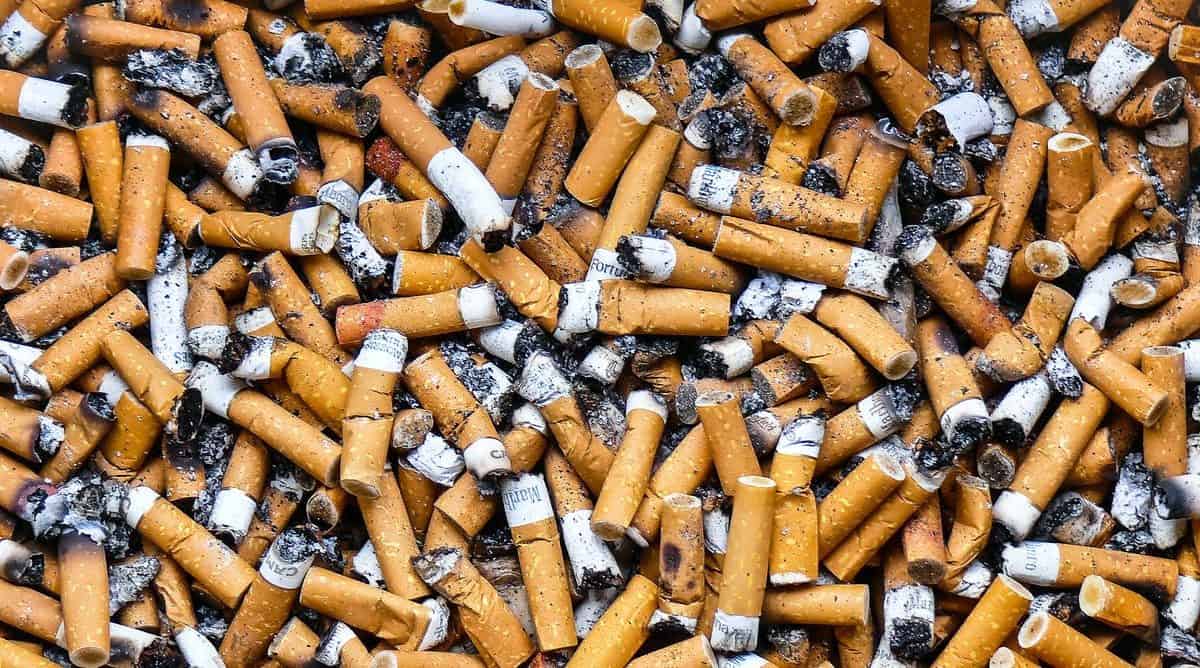 Four Americans die every year for every one person employed in the U.S. tobacco industry. Julien Fourniol/Baloulumix via Getty Images