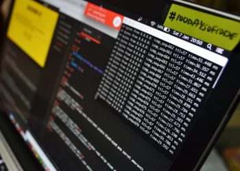 Photo by Lewis Kang'ethe Ngugi on Unsplash