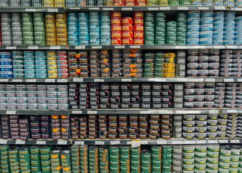 Photo by Tobias Tullius on Unsplash