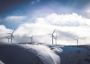 Photo by Jason Blackeye on Unsplash