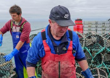 Alastair Cole/Tongue Tied Films, Author provided