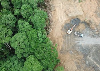 Rich Carey/Shutterstock