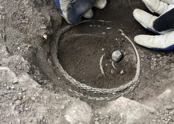 The Viking hoard being excavated. Acta Konserveringscentrum