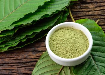 Which Kratom is Best? Bali or Maeng Da