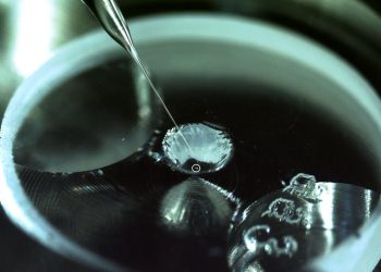 A tiny speck of asteroid dust, circled, can only be manipulated by a glass needle. ISAS JAXA