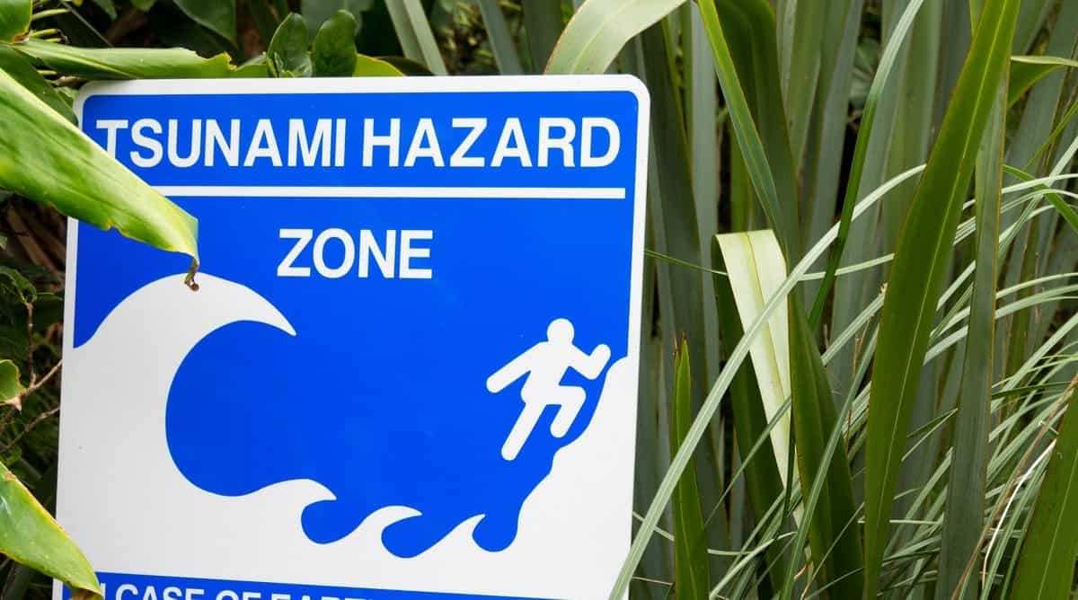 Martin Gruenzweig/Oneworld Picture/Universal Images Group via Getty Images