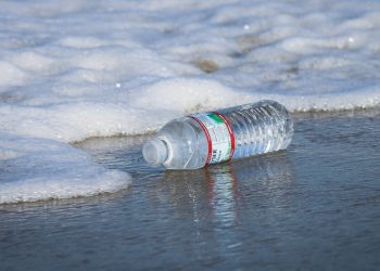 Brian Yurasits/Unsplash, CC BY-SA