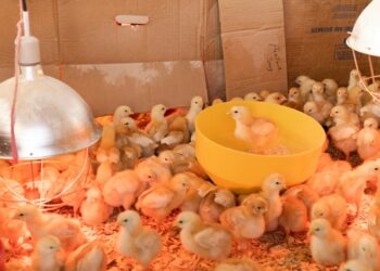 Photo by Zoe Schaeffer on Unsplash