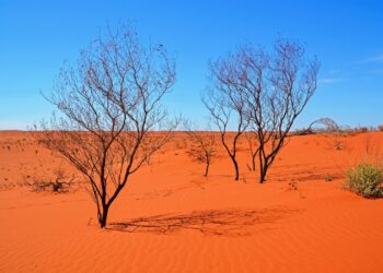 Photo by Jeremy Zero on Unsplash