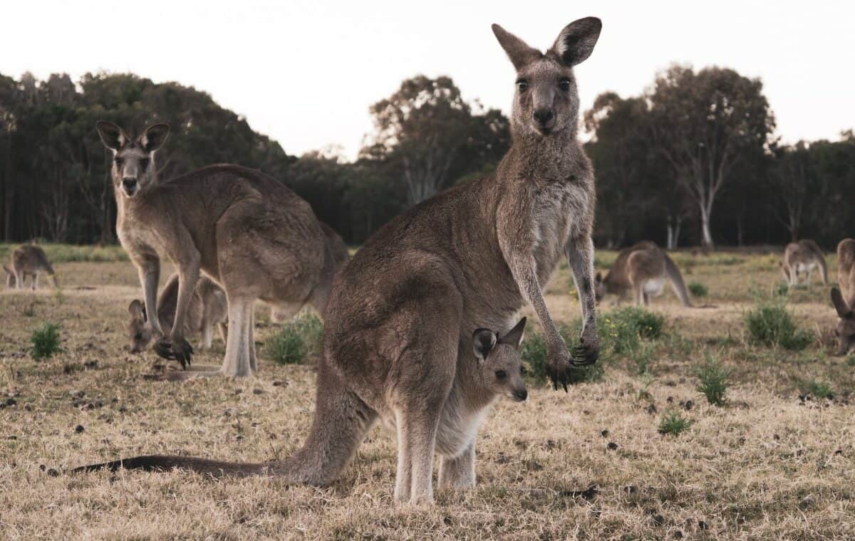 Photo by Carles Rabada on Unsplash