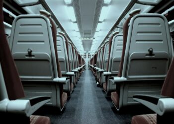 Photo by Andrew Scofield on Unsplash