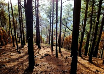 Photo by Anthony Gotter on Unsplash