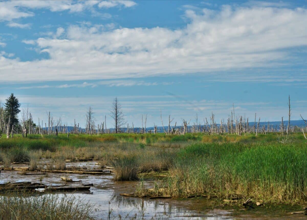 Photo by Bryan Hanson on Unsplash