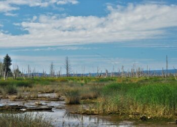 Photo by Bryan Hanson on Unsplash