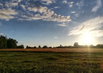 Photo by Nazrin B-va on Unsplash