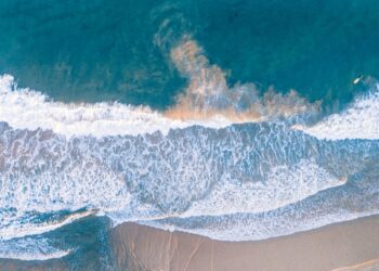 Photo by Lachlan Dempsey on Unsplash