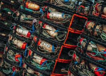 Photo by Meritt Thomas on Unsplash