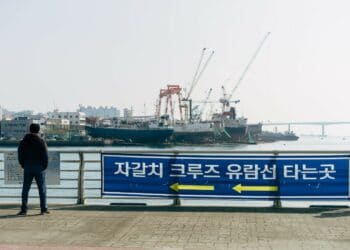 Photo by Markus Winkler on Unsplash