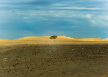 Photo by Karim MANJRA on Unsplash