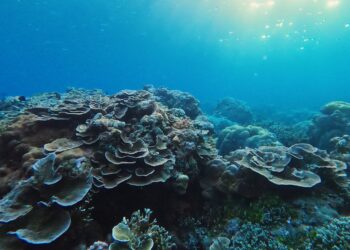 Photo by Max Kukurudziak on Unsplash