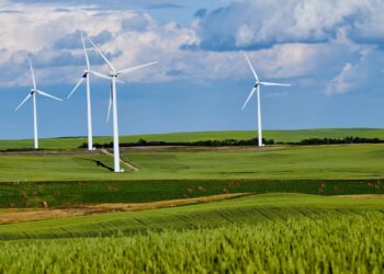 Photo by Abby Anaday on Unsplash