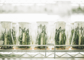 Photo by CHUTTERSNAP on Unsplash