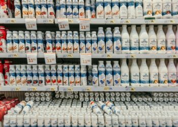 Photo by Marjan Blan | @marjanblan on Unsplash