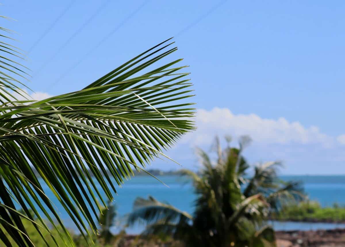 Photo by Wilson Stratton on Unsplash