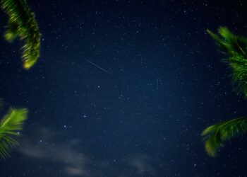 Photo by Luca Bravo on Unsplash