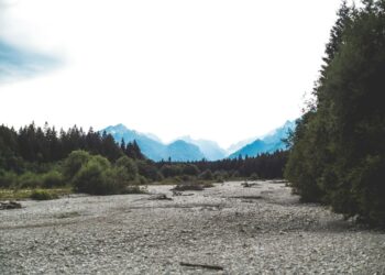 Photo by Markus Spiske on Unsplash