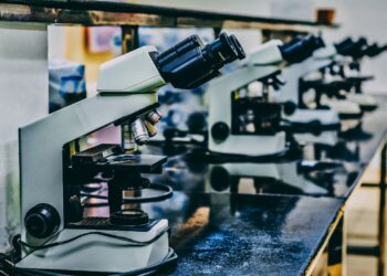 Photo by Ousa Chea on Unsplash