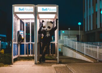 Photo by Erik Mclean on Unsplash