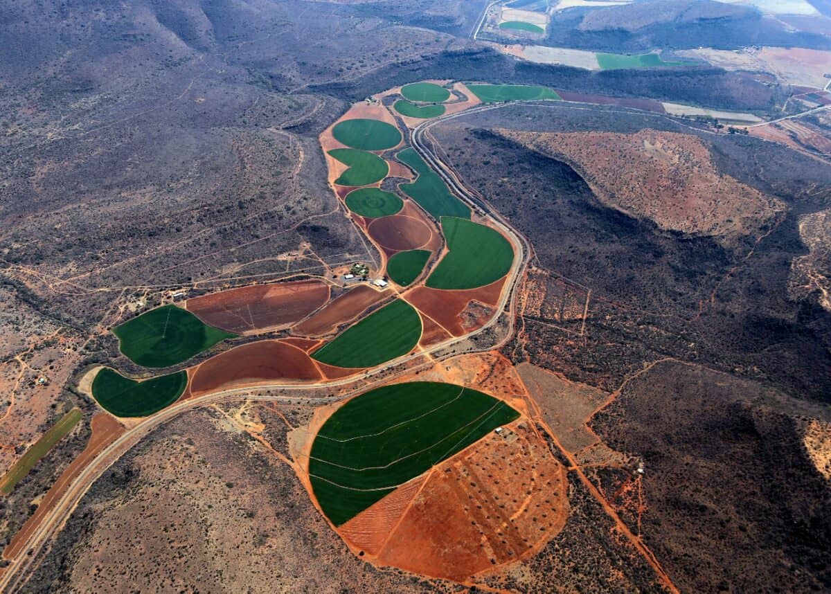 Photo by Wynand Uys on Unsplash