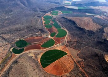 Photo by Wynand Uys on Unsplash