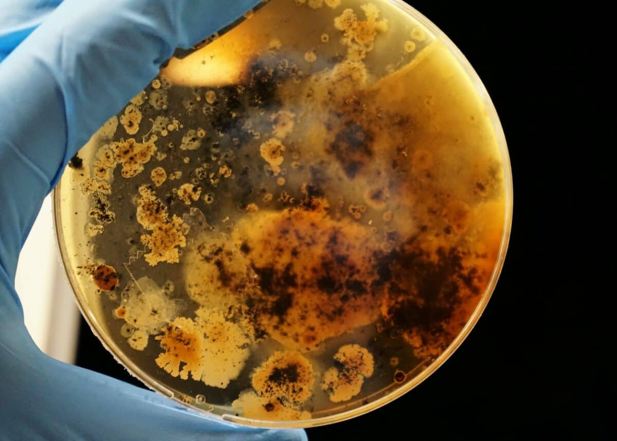 Photo by Adrian Lange on Unsplash