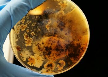 Photo by Adrian Lange on Unsplash