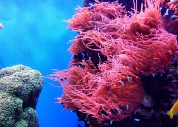 Photo by LI FEI on Unsplash