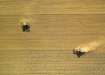 Photo by Johny Goerend on Unsplash