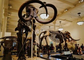 Photo by fan yang on Unsplash