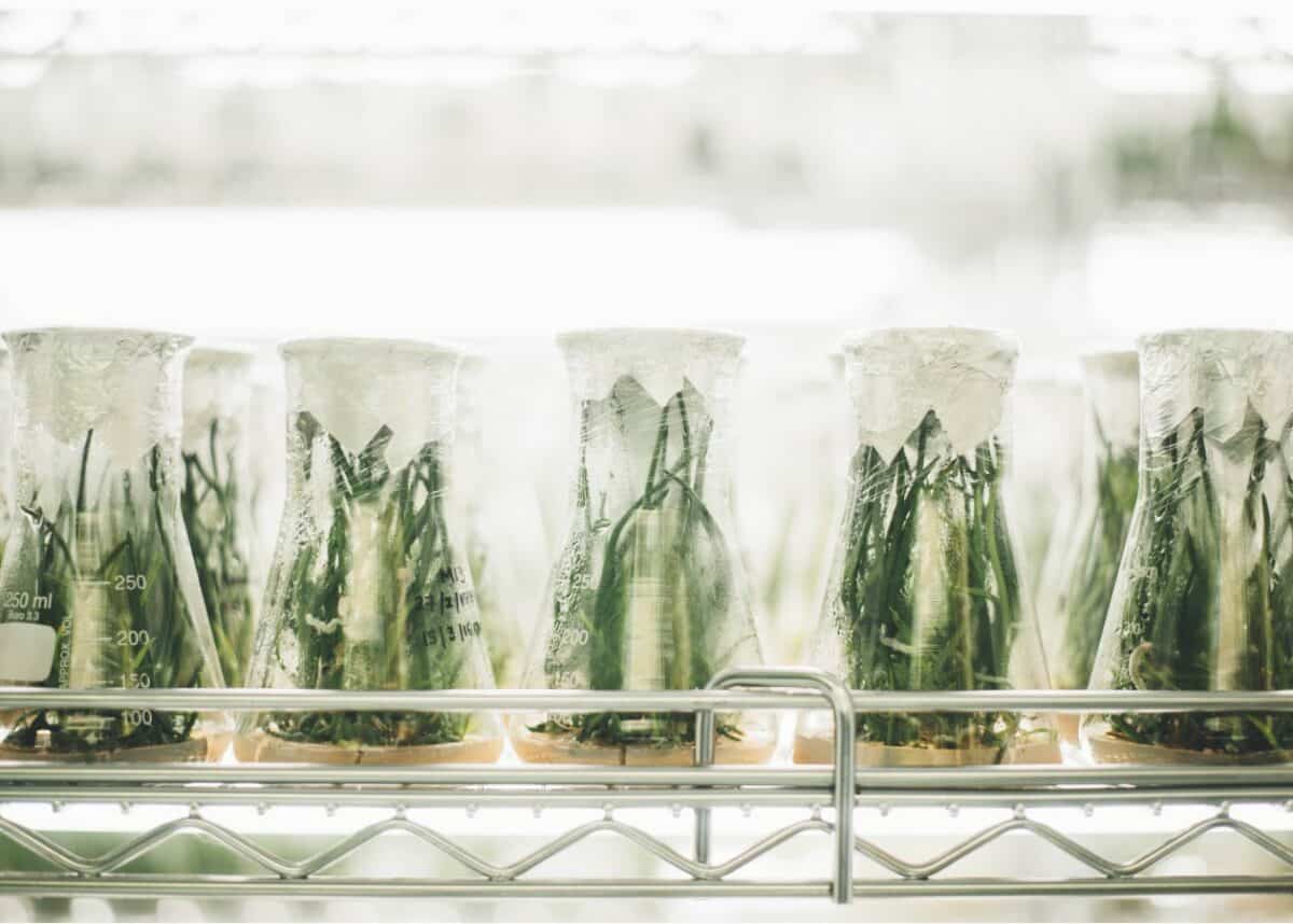 Photo by CHUTTERSNAP on Unsplash